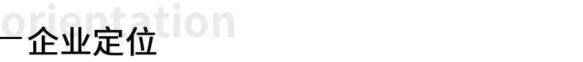 企业定位.jpg